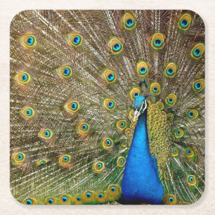 Peacock Pattern Peacock Artwork Painting Animal Ar Kartonnen Onderzetters