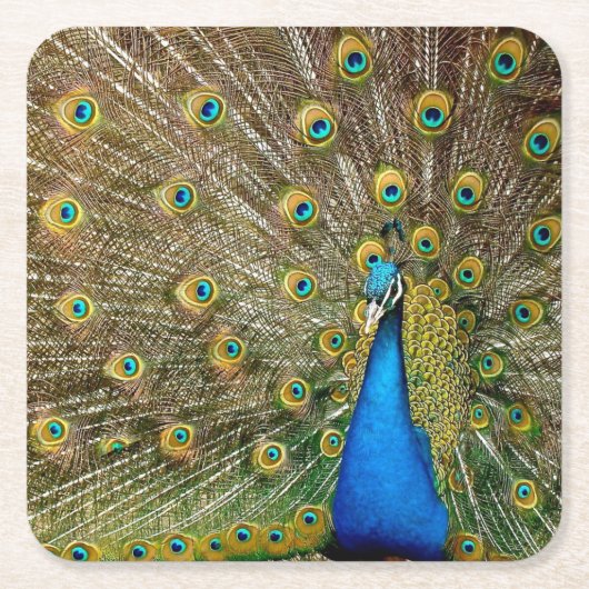 Peacock Pattern Peacock Artwork Painting Animal Ar Kartonnen Onderzetters (Voorkant)