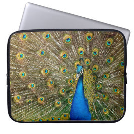 Peacock Pattern Peacock Artwork Painting Animal Ar Laptop Sleeve