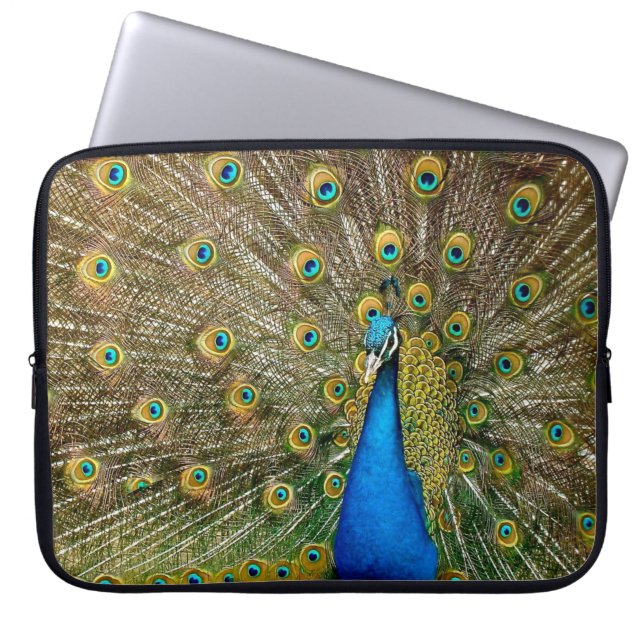 Peacock Pattern Peacock Artwork Painting Animal Ar Laptop Sleeve (Voorkant)