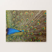 Peacock Pattern Peacock Artwork Painting Animal Ar Legpuzzel (Horizontaal)
