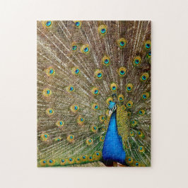 Peacock Pattern Peacock Artwork Painting Animal Ar Legpuzzel