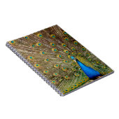 Peacock Pattern Peacock Artwork Painting Animal Ar Notitieboek (Rechterzijde)
