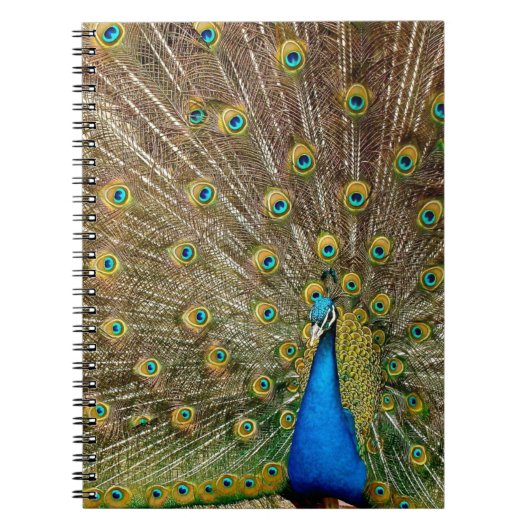 Peacock Pattern Peacock Artwork Painting Animal Ar Notitieboek (Voorkant)