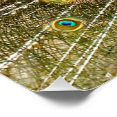 Peacock Pattern Peacock Artwork Painting Animal Ar Perfect Poster (Hoek)