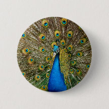 Peacock Pattern Peacock Artwork Painting Animal Ar