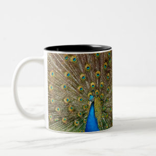 Peacock Pattern Peacock Artwork Painting Animal Ar Tweekleurige Koffiemok