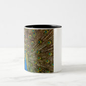 Peacock Pattern Peacock Artwork Painting Animal Ar Tweekleurige Koffiemok (Center)