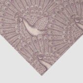 peacock pattern tissuepapier (Detail)