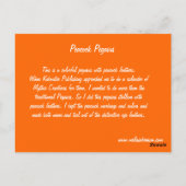 Peacock Pegasus Briefkaart (Achterkant)