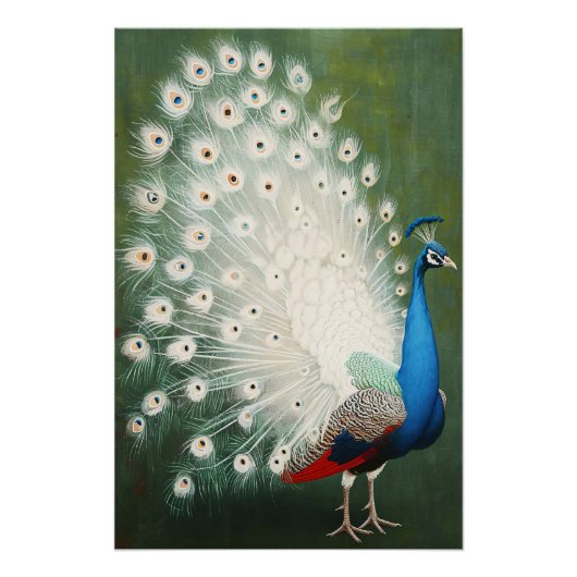 Peacock Perfect Poster (Voorkant)