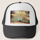 Peacock, Pet (Voorkant)