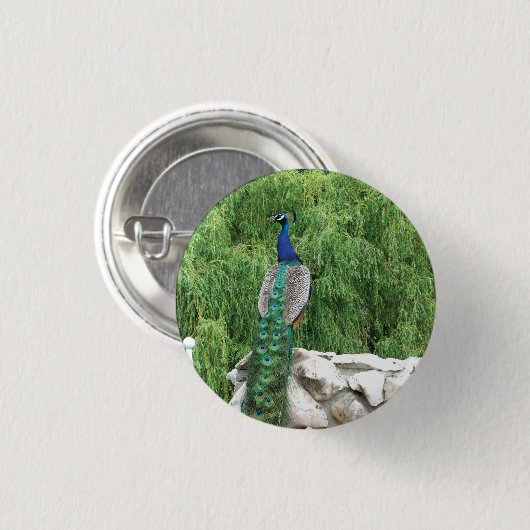 Peacock Photo Badge Ronde Button 3,2 Cm (Voorkant /achterkant)
