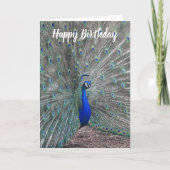 PEACOCK PHOTO HAPPY BIRTHDAY GREETING CARD  KAART (Voorkant)