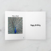 PEACOCK PHOTO HAPPY BIRTHDAY GREETING CARD  KAART (Binnen)