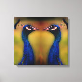 Peacock Photo Single Canvas Afdruk (Voorkant)