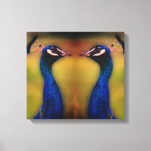 Peacock Photo Single Canvas Afdruk