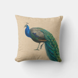 Peacock Pillow Colorful een van de twee bijbehoren Kussen