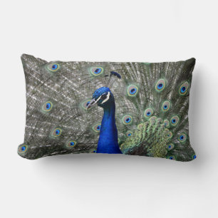 Peacock Pillow Kussen