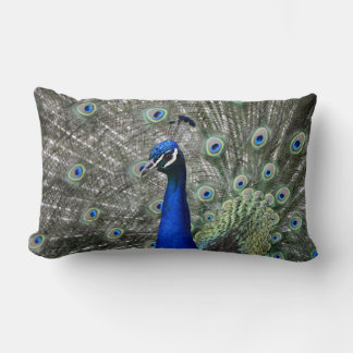 Peacock Pillow Kussen