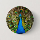 Peacock Pin Ronde Button 5,7 Cm (Voorkant)