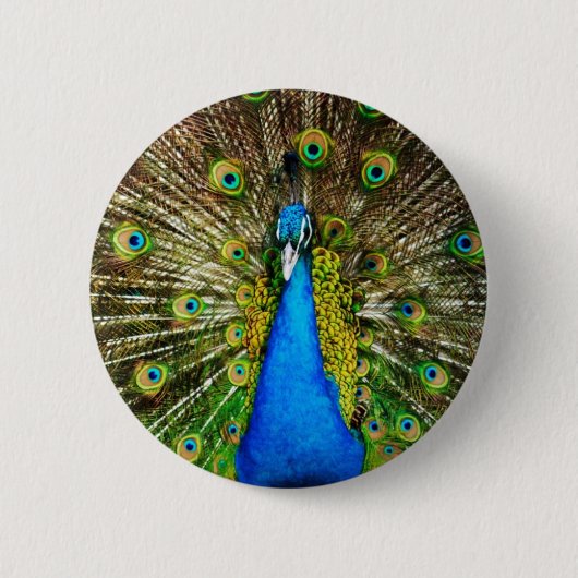 Peacock Pin Ronde Button 5,7 Cm (Voorkant)
