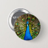 Peacock Pin Ronde Button 5,7 Cm (Voorkant /achterkant)