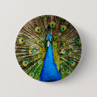 Peacock Pin Ronde Button 5,7 Cm