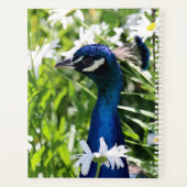 Peacock Planner (Achterkant)