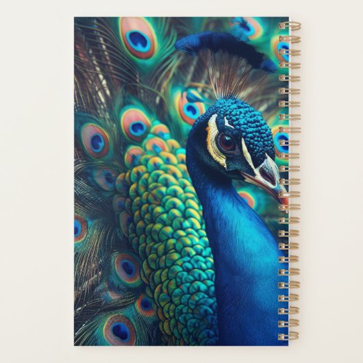 Peacock Planner (Achterkant)