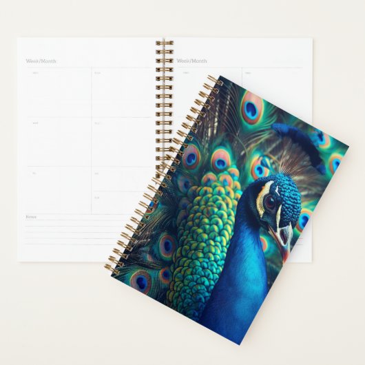Peacock Planner (Display)