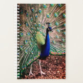 Peacock Planner (Voorkant)