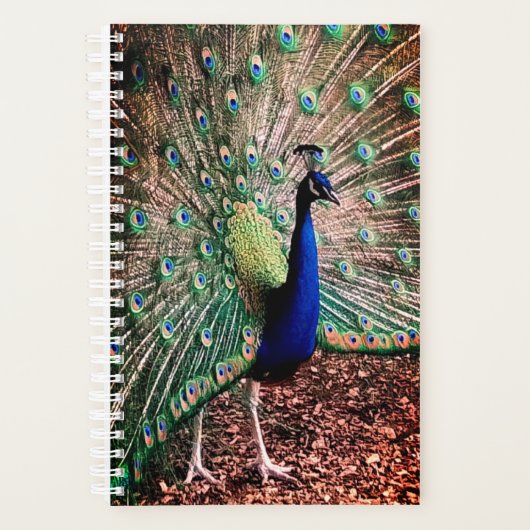 Peacock Planner (Voorkant)
