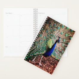 Peacock Planner