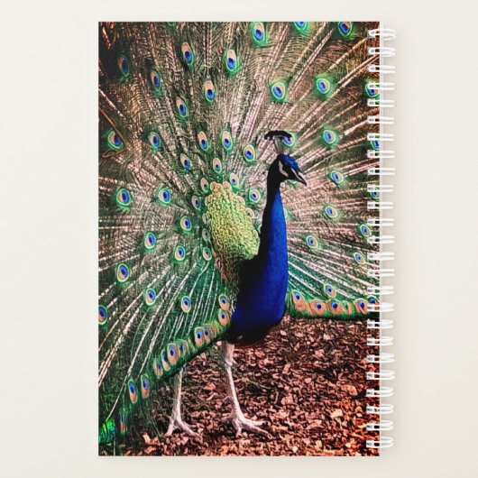 Peacock Planner (Achterkant)
