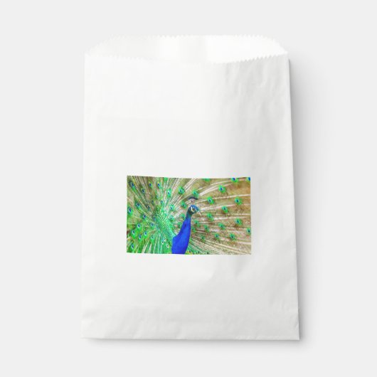 Peacock Plumage Bedankzakje (Voorkant)