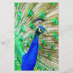 Peacock Plumage Briefpapier