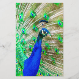 Peacock Plumage Briefpapier