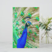 Peacock Plumage Briefpapier (Staand voorkant)