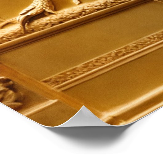 Peacock Plumage - Een uitbarsting van kleur voor u Poster (Hoek)