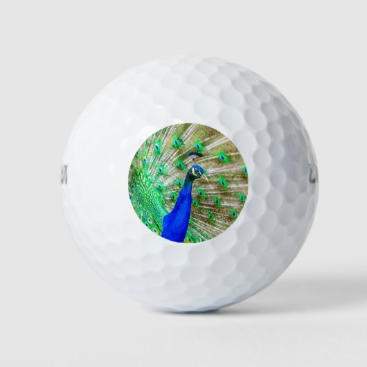 Peacock Plumage Golfballen (Voorkant)