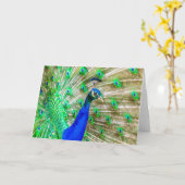 Peacock Plumage Kaart (Gele Bloem)