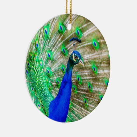 Peacock Plumage Keramisch Ornament (Rechts)