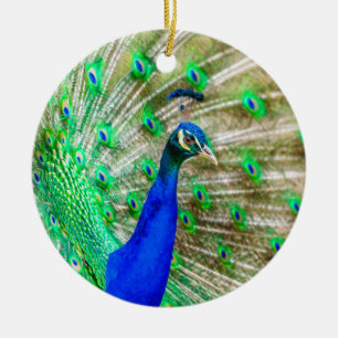 Peacock Plumage Keramisch Ornament