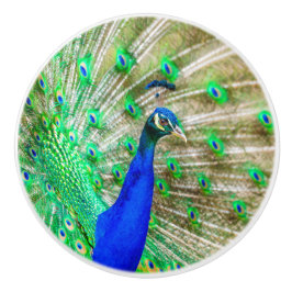 Peacock Plumage Keramische Knop