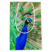 Peacock Plumage Medium Cadeauzakje (Voorkant)