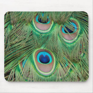 Peacock plumage muismat