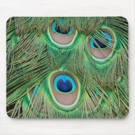 Peacock plumage muismat (Voorkant)