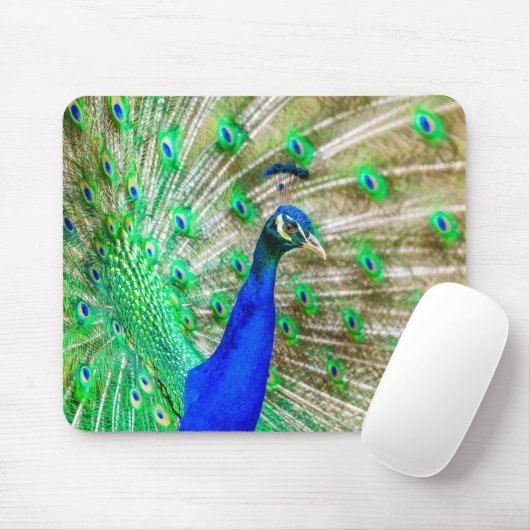 Peacock Plumage Muismat (Met muis)