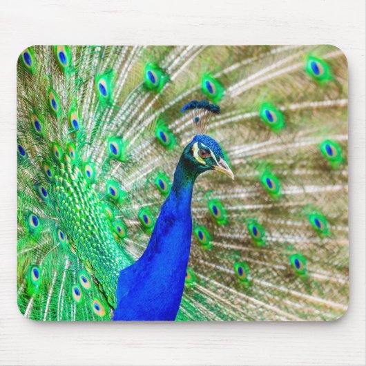 Peacock Plumage Muismat (Voorkant)